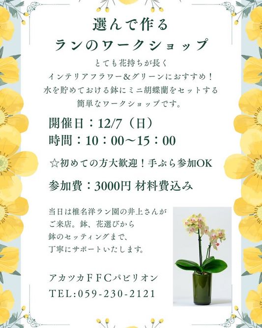 アカツカFFCパビリオンが選んで作るランのワークショップを開催、ミニ胡蝶蘭rantoの体験型イベントが室内グリーン需要に応える