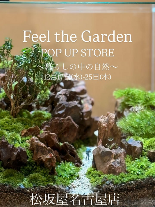 Feel the Garden POP UP STORE2025が体験型植物イベントを開催、松坂屋名古屋店南館オルガン広場で暮らしの中の自然を提案