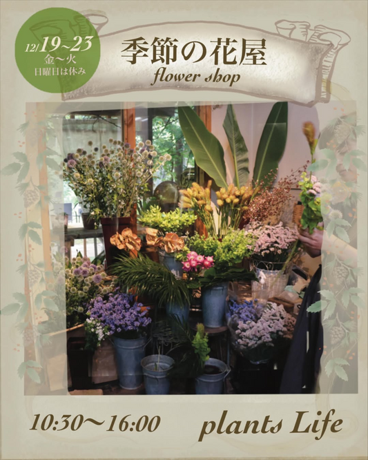 季節の花屋2025が庭屋weekで期間限定オープン、名古屋松坂屋南館オルガン広場で季節の花の魅力を提案
