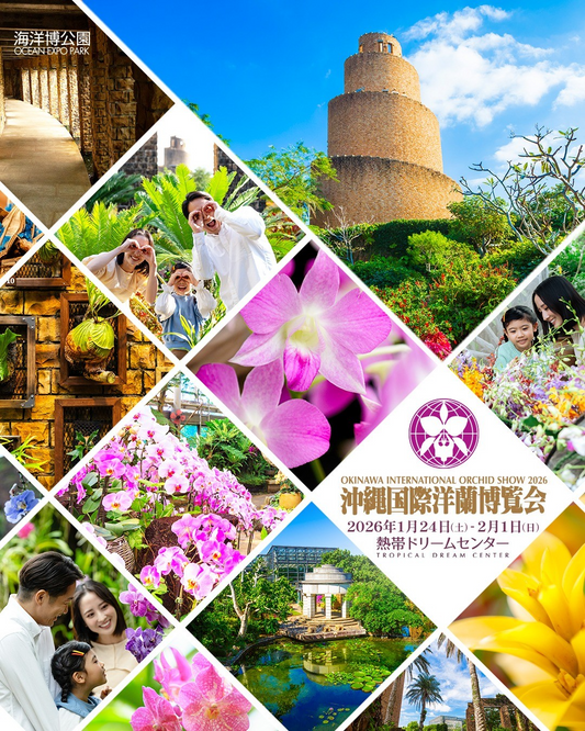 沖縄国際洋蘭博覧会2026が海洋博公園熱帯ドリームセンターで開催、国内外約2万点のラン展示が沖縄旅行の花イベントとして注目を集める