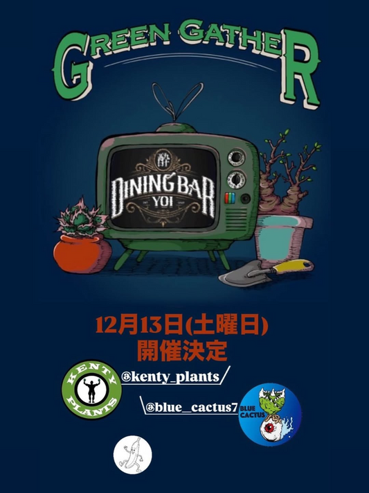 GreenGather Bow年会2025がDining Bar酔で植物イベントとBow年会を開催、和歌山の植物好きが飲食と植物トークで一年を締めくくる