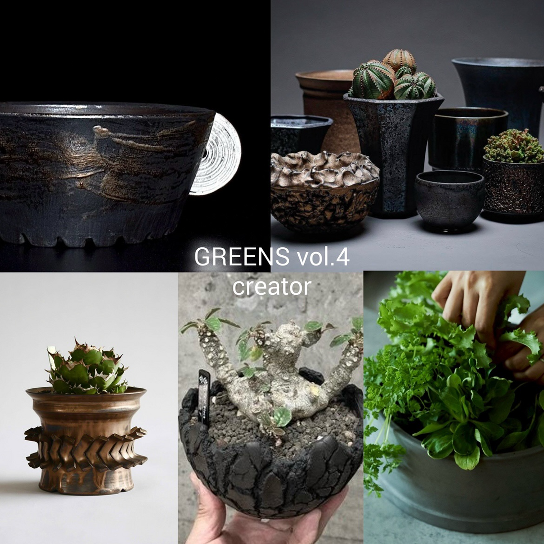 GREENS vol.4 2025がgarage TOYOHASHIで開催、結晶釉や三河焼植木鉢
