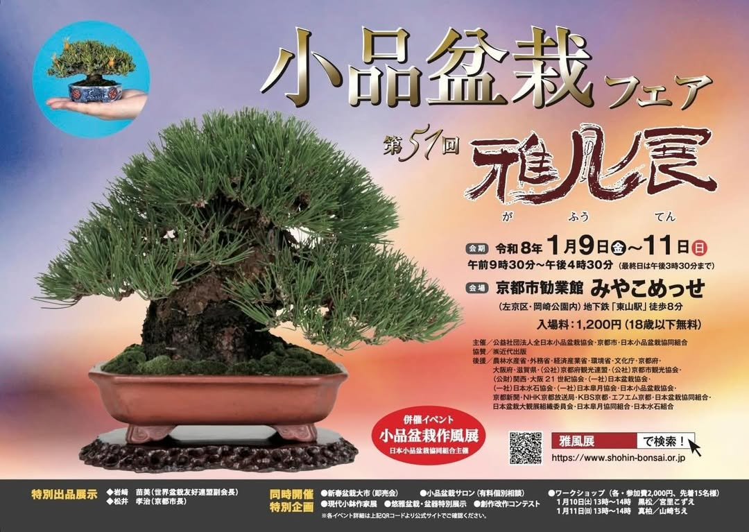 第51回雅風展小品盆栽フェア2023が京都市勧業館みやこめっせで開催、日本最大の小品盆栽展が愛好家の関心を集める