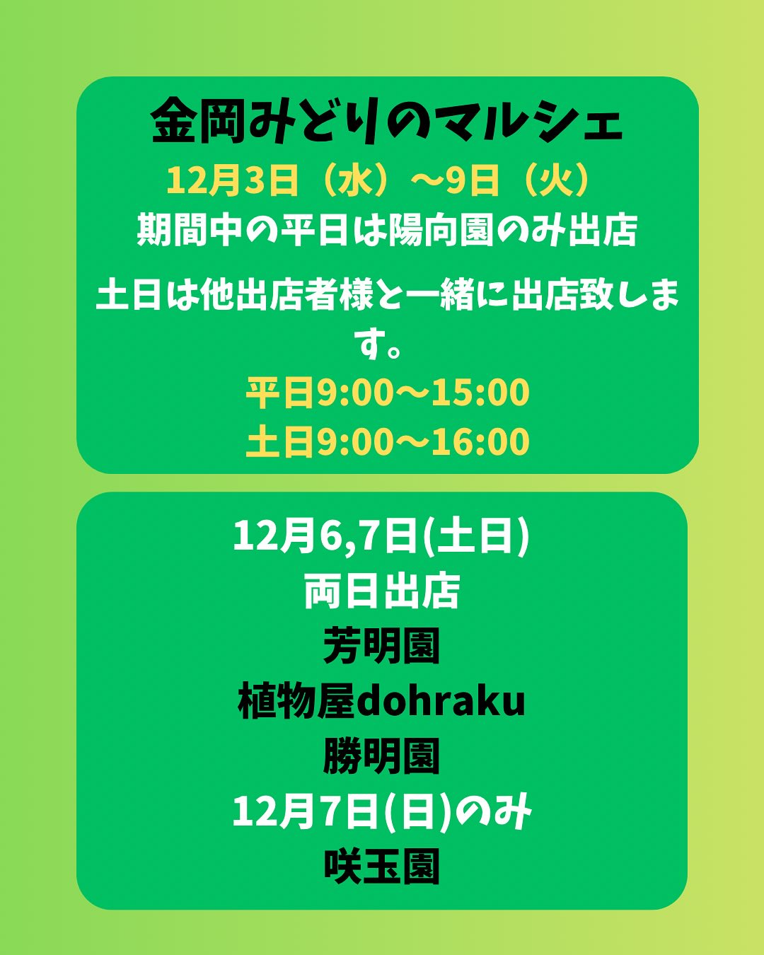 浦部陽向園が金岡みどりのマルシェ2025に出店、金岡公園で盆栽や多肉植物などを販売し植物愛好家や家族連れの注目を集める