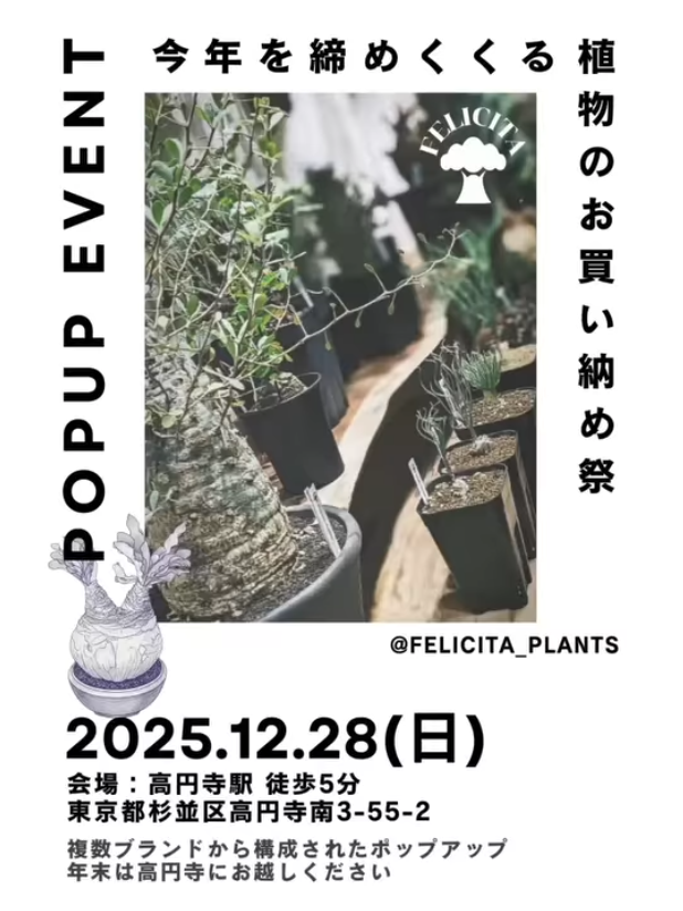 5ブランド合同 POPUP in 高円寺2025が冬型植物とアガベの買い納めイベントとして高円寺の植物愛好家の注目を集める