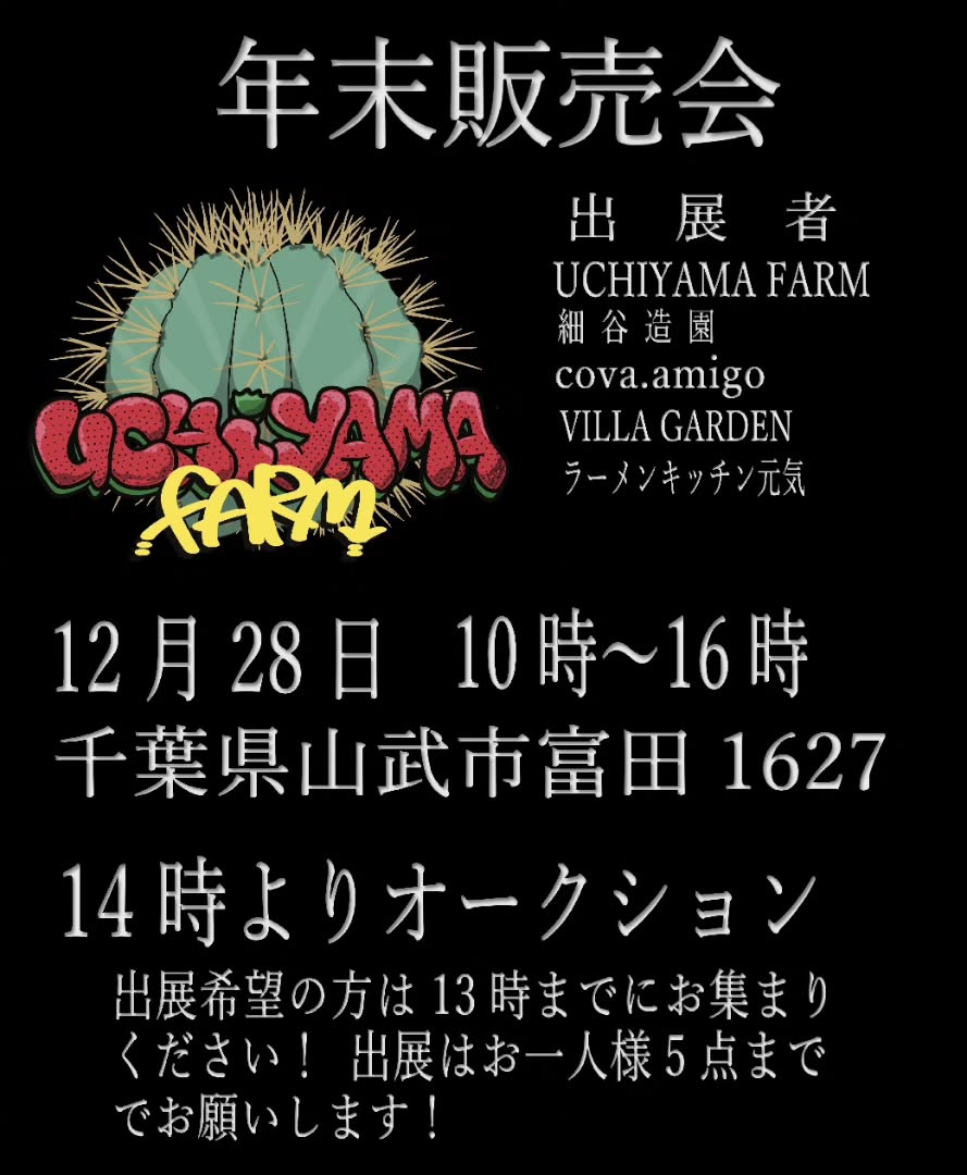 内山苺園が年末販売会2025を開催、アガベやサボテンとユーホルビアの販売とオークションが植物愛好家の関心を集める