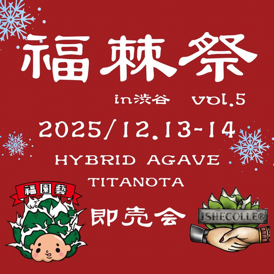 福棘祭vol.5in渋谷で福園藝とISHECOLLEがアガベイベント2025を開催、L1PStudioでハイブリッド株と台湾株が愛好家の注目を集める