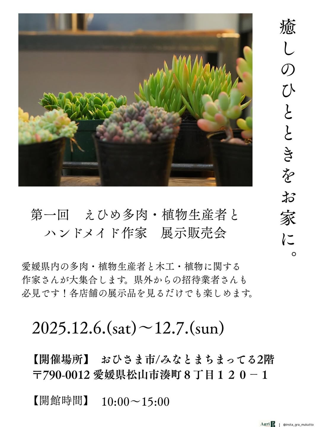 第一回えひめ多肉植物生産者とハンドメイド作家展示販売会がJAえひめ中央ひなたCAFEで開催、多肉植物と雑貨の展示販売が愛媛の植物ファンの注目を集める