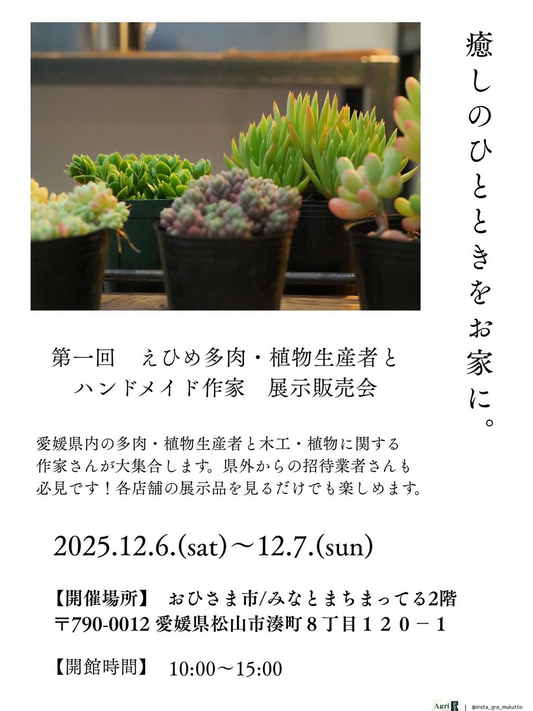 第一回えひめ多肉植物生産者とハンドメイド作家展示販売会がJAえひめ中央ひなたCAFEで開催、多肉植物と雑貨の展示販売が愛媛の植物ファンの注目を集める