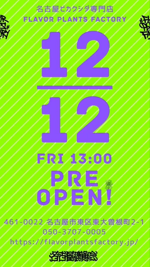 FLAVOR PLANTS FACTORYが名古屋大曽根でプレオープンを開催、ビカクシダ専門店のOPEN記念SALEが東区のビザールプランツファンの注目を集める