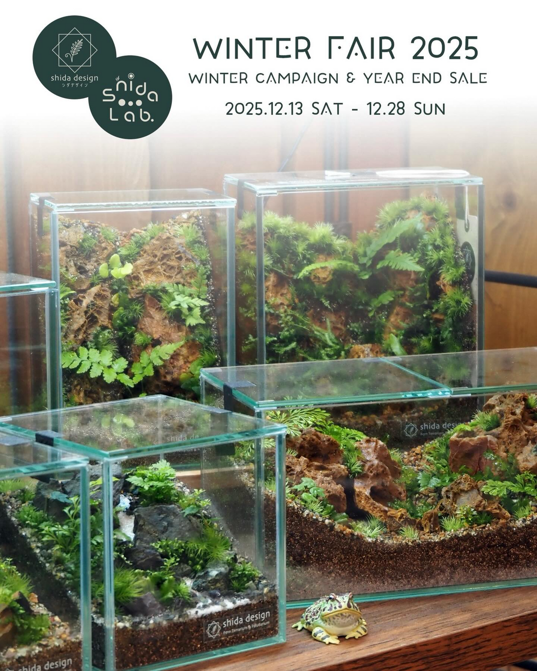 shida designがWINTER FAIR & YEAR END SALE 2025を開催、シダ植物とテラリウムの年末セールが兵庫県三田市で愛好家の注目を集める