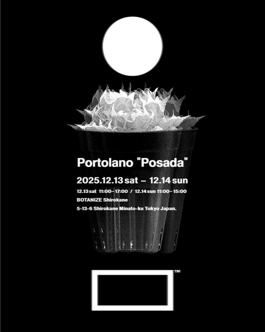 BOTANIZEがBOTANIZE🤝PORTOLANO第十四弾Posadaを開催、BOTANIZE白金店でPORTOLANO Agave oteroi特選株販売が植物愛好家の注目を集める