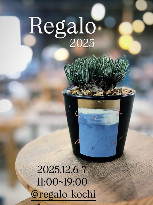 KIZANPLANTSがRegalo2025を高知蔦屋書店で開催、高知卸団地一帯がクリスマスマーケットとして植物とアートのギフト提案の場になる