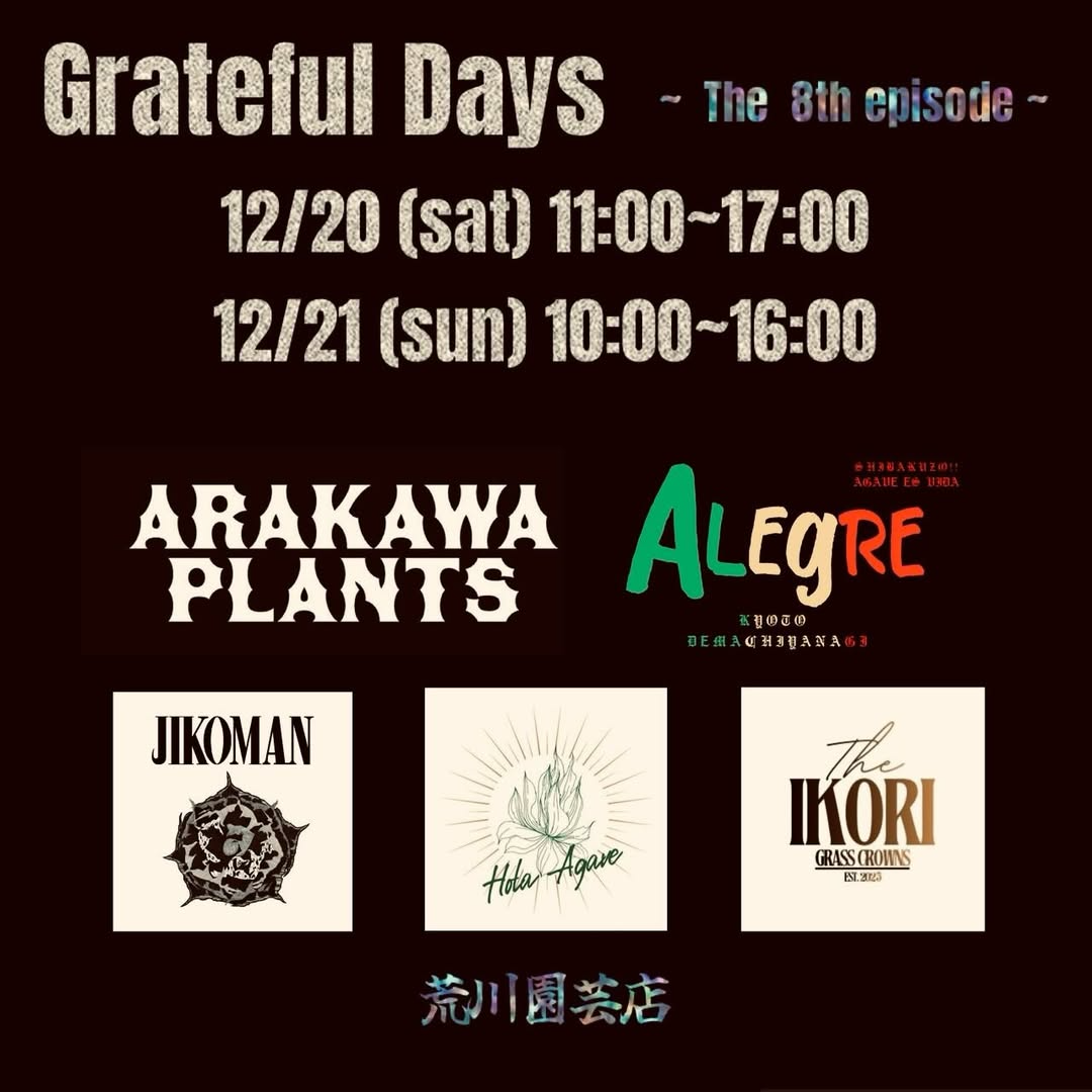 GratefulDays2025The8thepisodeが荒川園藝店で開催、泉大津でクリスマス前の植物イベントが来場者の交流機会に