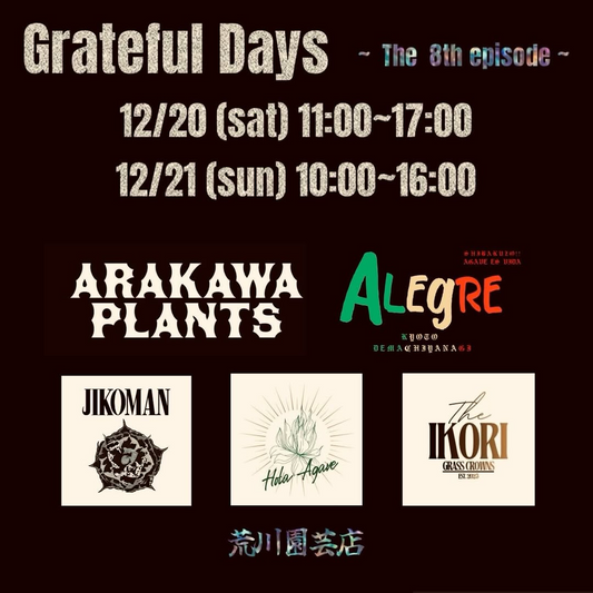 GratefulDays2025The8thepisodeが荒川園藝店で開催、泉大津でクリスマス前の植物イベントが来場者の交流機会に