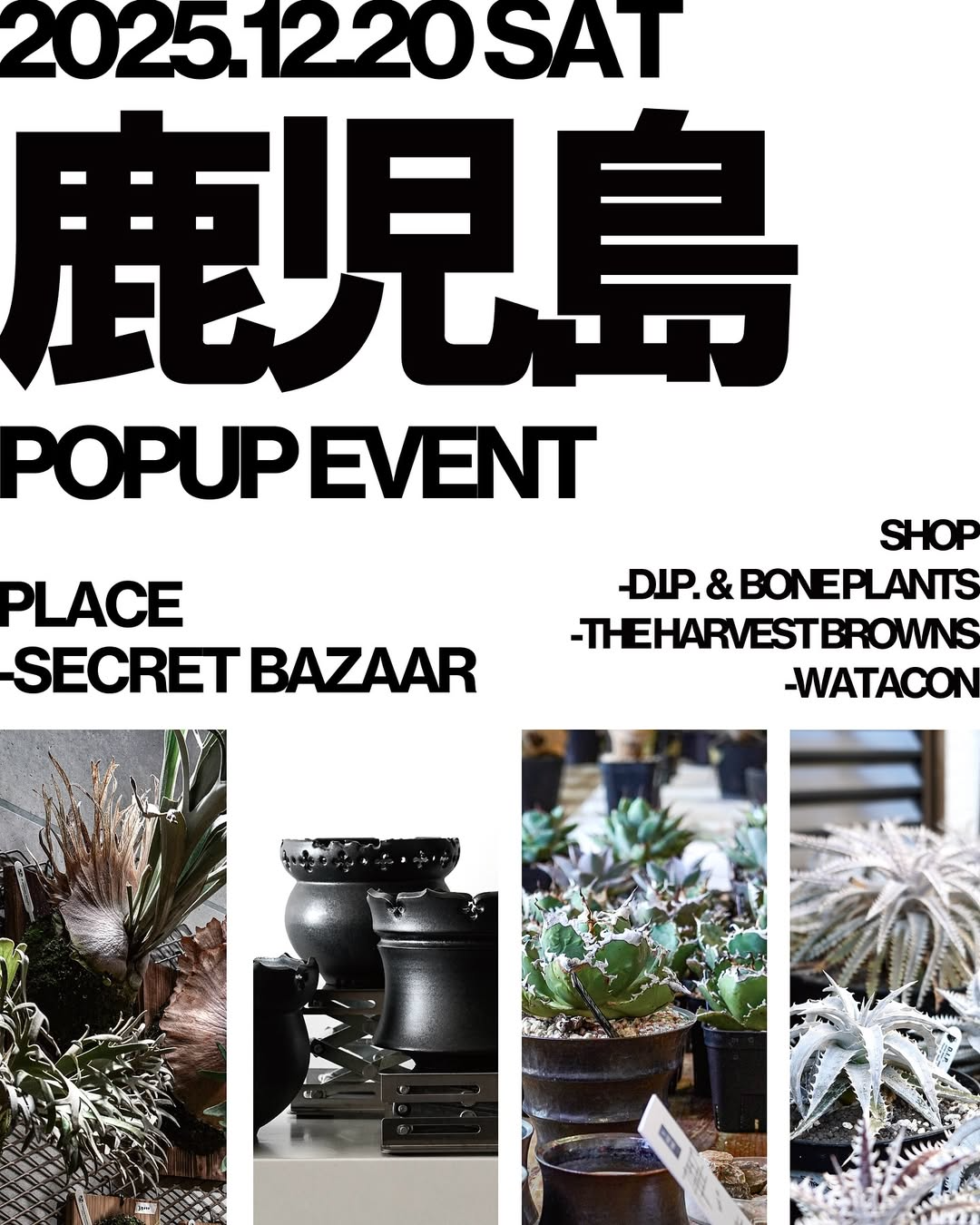 D.I.P.など4ショップが鹿児島POPUPイベント2025をSecretBazaarで開催、ビザールプランツと鉢の展示販売が植物愛好家の注目を集める