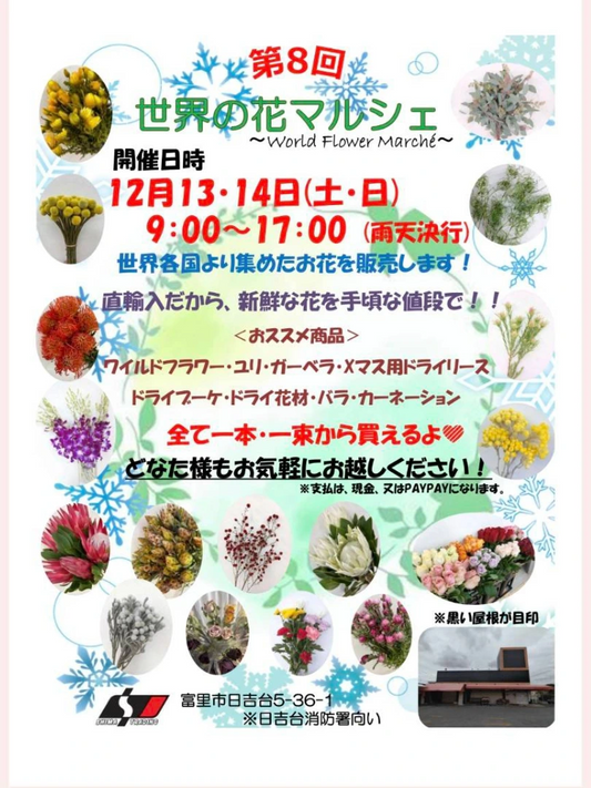第8回世界の花マルシェ2025が千葉県富里市で直輸入の切花販売イベントを開催、世界各国と国産の多彩な花が暮らしの装飾ニーズに応える