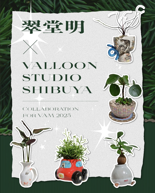 VALLOONARTMARKET2025が翠堂明と陶芸作家5名のコラボ展示を開催、渋谷VALLOONSTUDIOSHIBUYAで植物とアートの魅力が集結