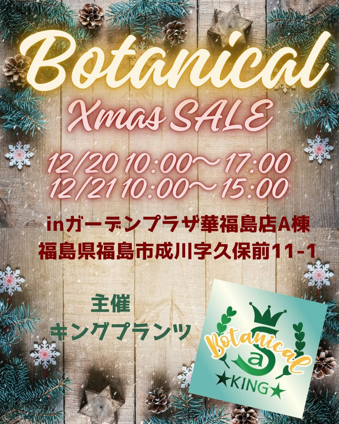 キングプランツがBotanicalXmasSALE2025をガーデンプラザ華で開催、多肉植物とAgaveやユーフォルビアのXmasSALE特価が福島の植物愛好家の関心を集める