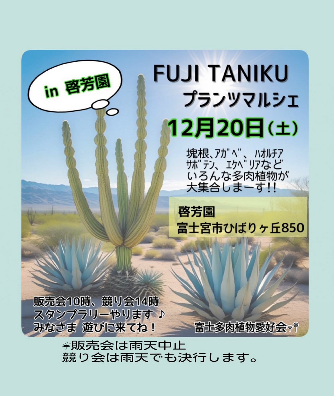 FUJI TANIKU プランツマルシェ in 啓芳園2025が多肉植物販売会と競り会を開催、静岡県富士宮市ひばりが丘で塊根やアガベ愛好家の交流の場となる