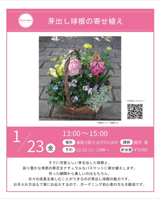 芽出し球根の寄せ植えワークショップ2026が玉川高島屋S.Cで開催、季節の草花と球根の寄せ植え体験が初心者の関心を集める