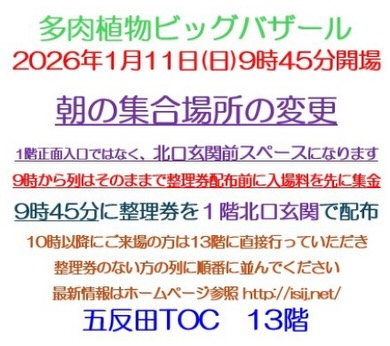 多肉植物ビッグバザール2026が五反田TOCビル13階で開催、入場方法変更と整理券運用が多肉植物イベント参加者の利便性向上につながる