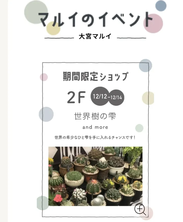 世界樹の雫2025が大宮マルイ2Fで植物販売会を開催、サボテンや多肉植物の冬の楽しみ方を提案