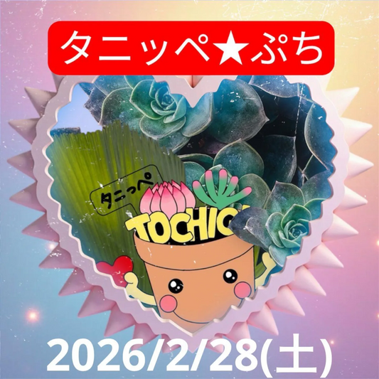 タニッペ★ぷち2026がミナテラスとちぎで多肉イベントを開催、多彩な出店者が宇都宮インターパークに集結