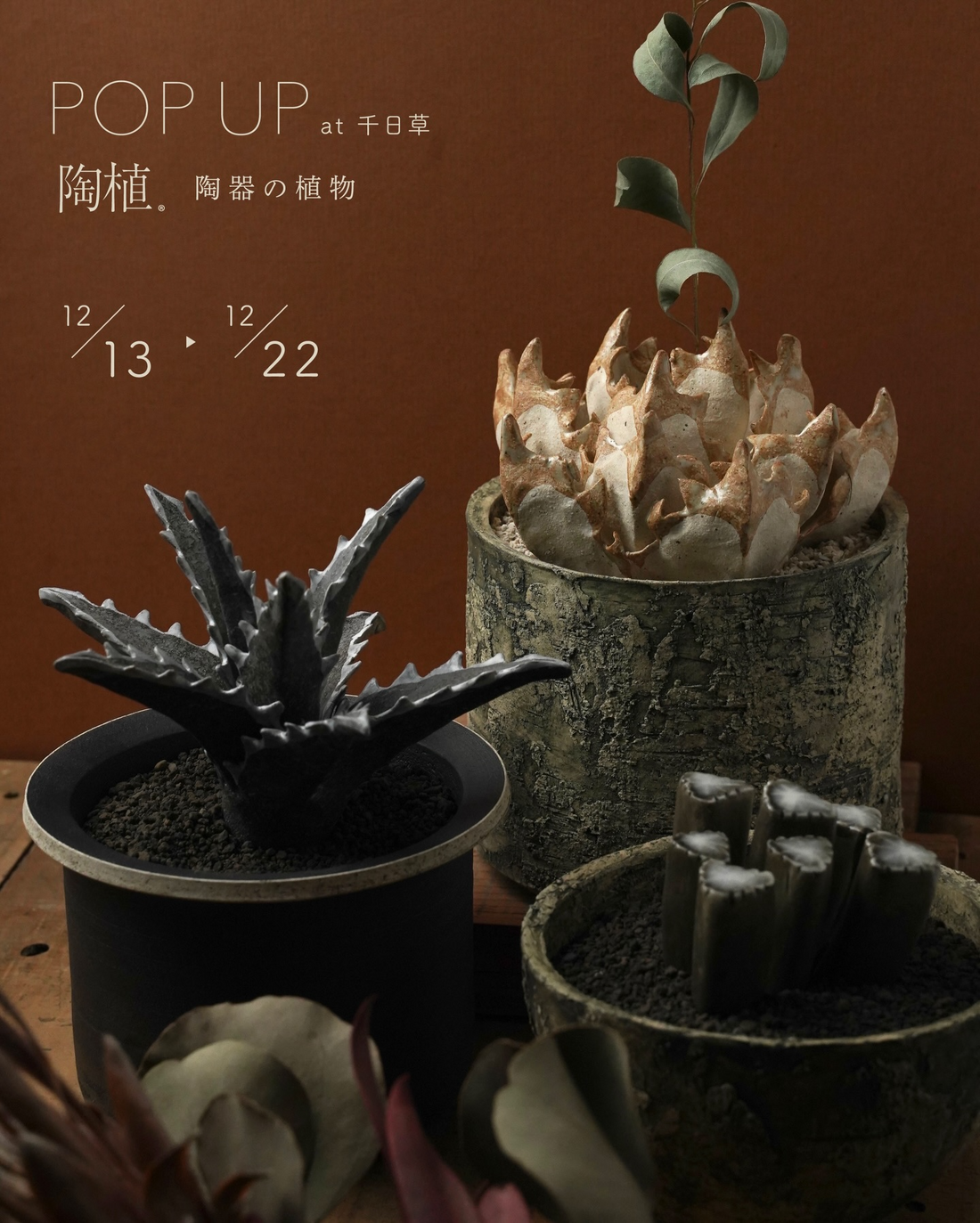 POP UP陶植2025が千日草で陶器の植物を展示販売、三重県四日市市で年内