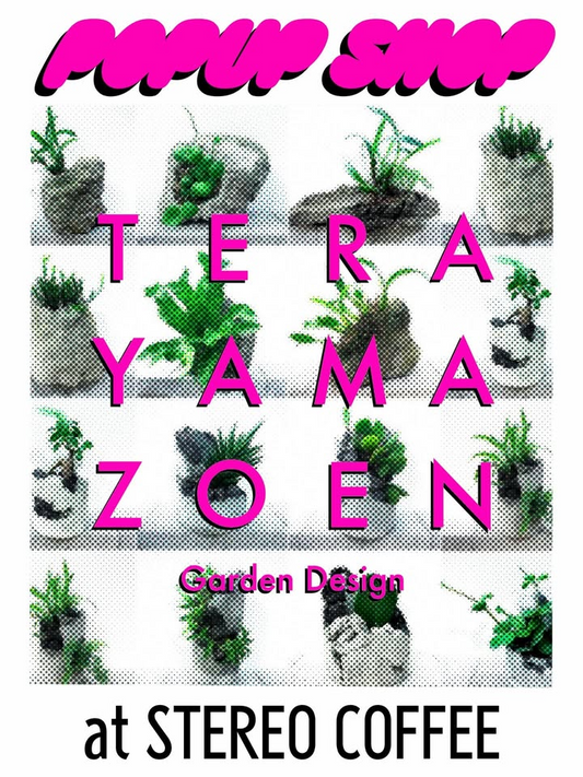 TERAYAMA・ZOENがSTEREO・COFFEEで2025年ポップアップを開催、福岡で植物と鉢の表現が集結