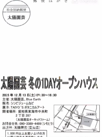 太陽園芸が太陽園芸 冬の1DAYオープンハウス2025を開催、シンビジューム販売とTAIYO’Sボタニカルアート展示が愛知県東海市の植物愛好家の関心を集める