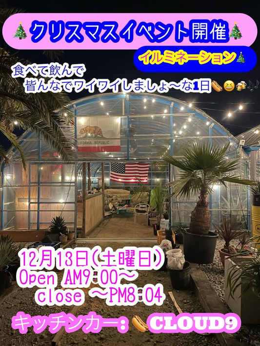 ココスカナリーがクリスマスイベント2025を開催、キッチンカーCLOUD9とイルミネーションが来場者の交流を生む一日になる
