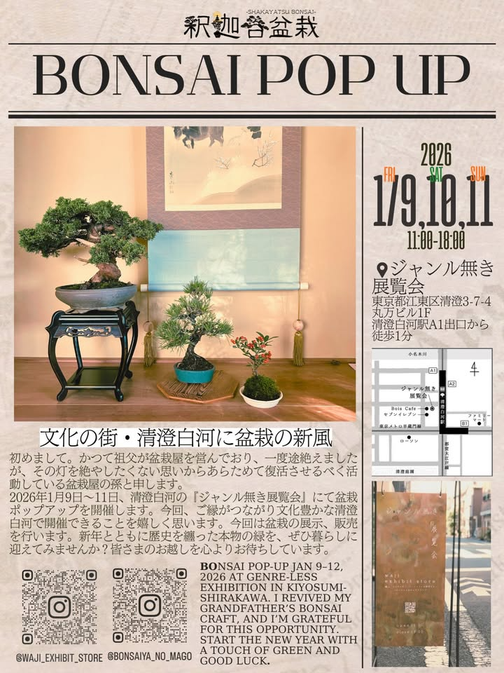 織姫巻盆栽がBONSAIPOPUP2026を開催、清澄白河で盆栽ポップアップを実施
