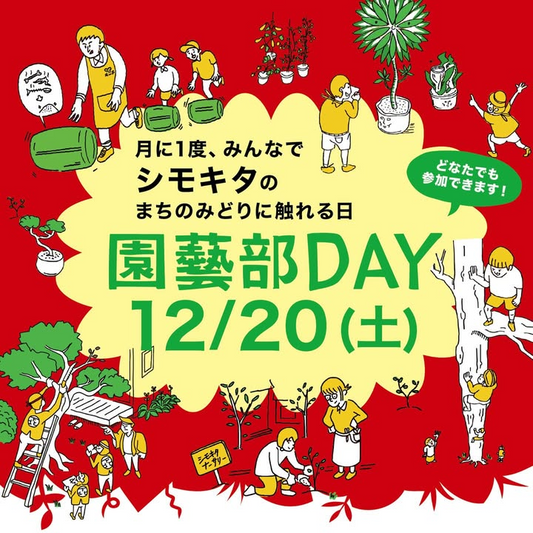 シモキタ園芸部が2025年最後のシモキタ園芸部DAYを実施、竹ランタン制作と点灯式が交流の機会に
