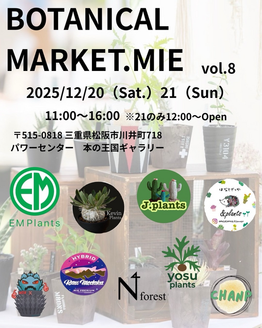 本の王国がBOTANICAL MARKET vol.8を2025年開催、植物ガチャガチャと植物販売が年末の運試しに