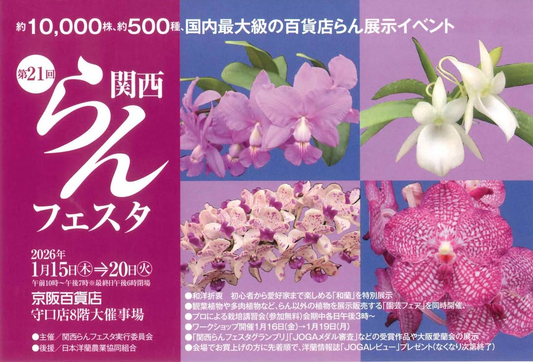 関西らんフェスタ実行委員会が第21回関⻄らんフェスタin京阪百貨店を開催、約10000株展示と講習会が守口に