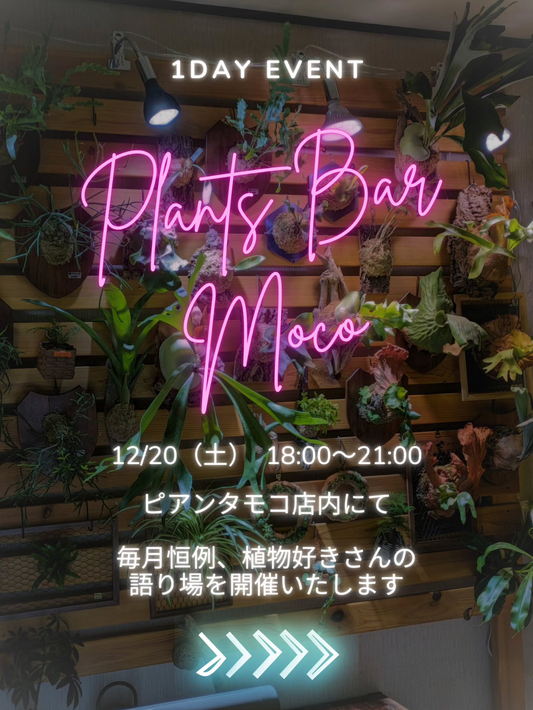 Pianta mocoがPlantsBarmoco2025を開催、植物持ち寄り交換企画が交流の場に