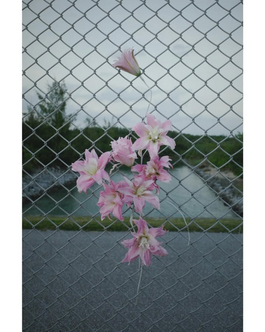 75(nago)が年内ラストPOPUPSHOPを開催、切り花としめ飾りと七草セットの販売を実施