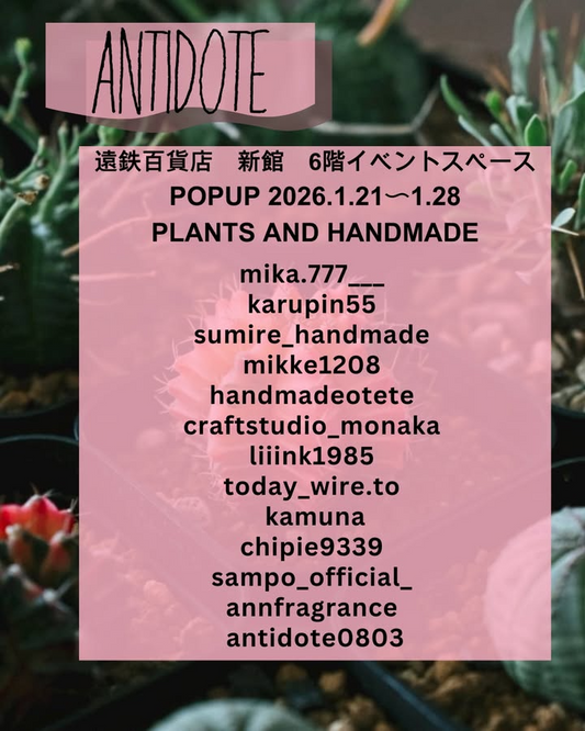 ANTIDOTEが遠鉄百貨店新館でPOPUPを開催、植物とハンドメイド雑貨の展開が来店判断に