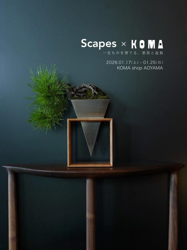 イオンモール宮崎がWINTER MARCHE2025を開催、雑貨と植物販売が年末需要に対応