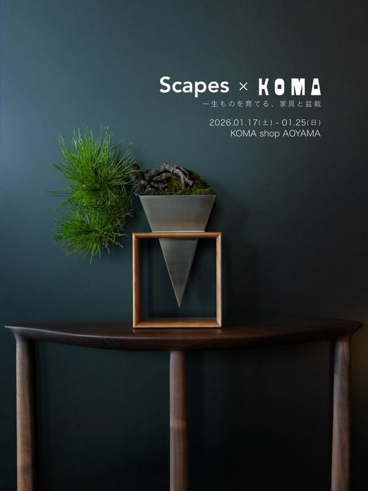 イオンモール宮崎がWINTER MARCHE2025を開催、雑貨と植物販売が年末需要に対応