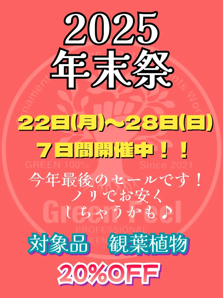 タニクロ新春大初売が2026年1月に開催、新春福ガチャの多肉株放出が来場者の注目に