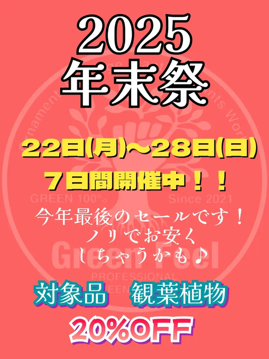タニクロ新春大初売が2026年1月に開催、新春福ガチャの多肉株放出が来場者の注目に