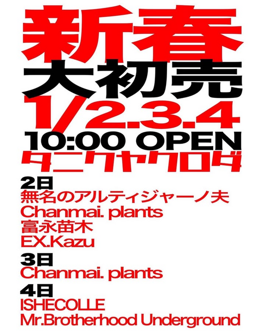 若杉美保子が1stExhibition&Pre‐order saleを開催、名古屋Gallery NA2で共生テーマの作品展示