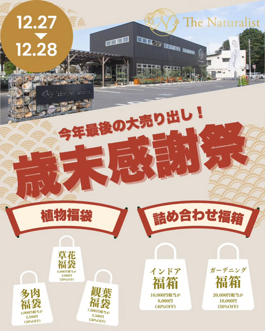 PLANET ROCK PLANTSがNEW YEAR SUPER SALE 2026を開催告知、1月10日と11日の高円寺本店セールが年始需要に対応