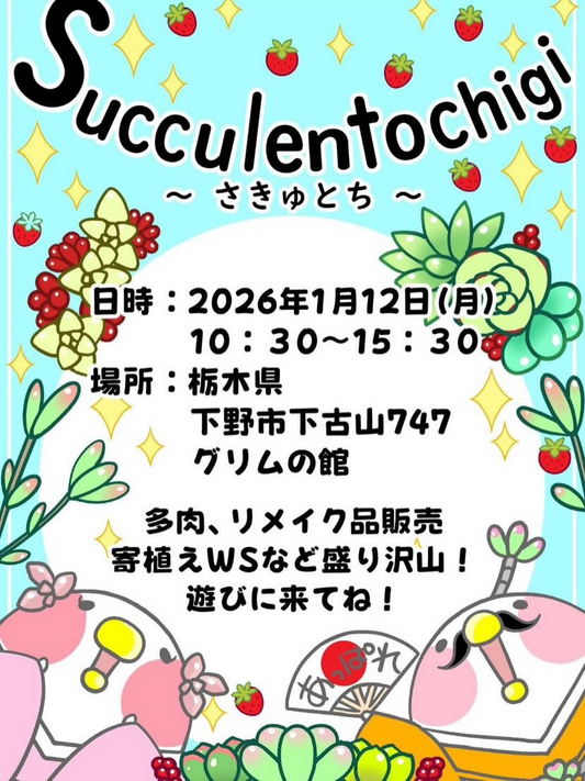 栃木多肉のお部屋がSucclentochigi（さきゅとち）2026を開催、グリムの館で多肉販売と寄せ植えWSを実施