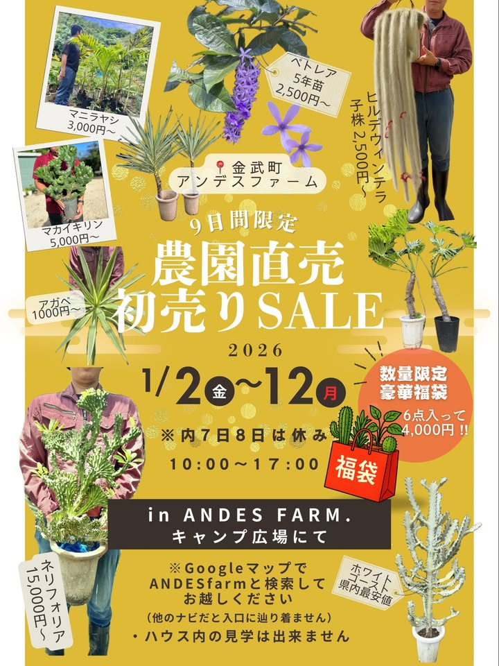 金武町アンデスファームが2026農園直売初売りSALEを開催、福袋20袋と植物直売が注目を集める