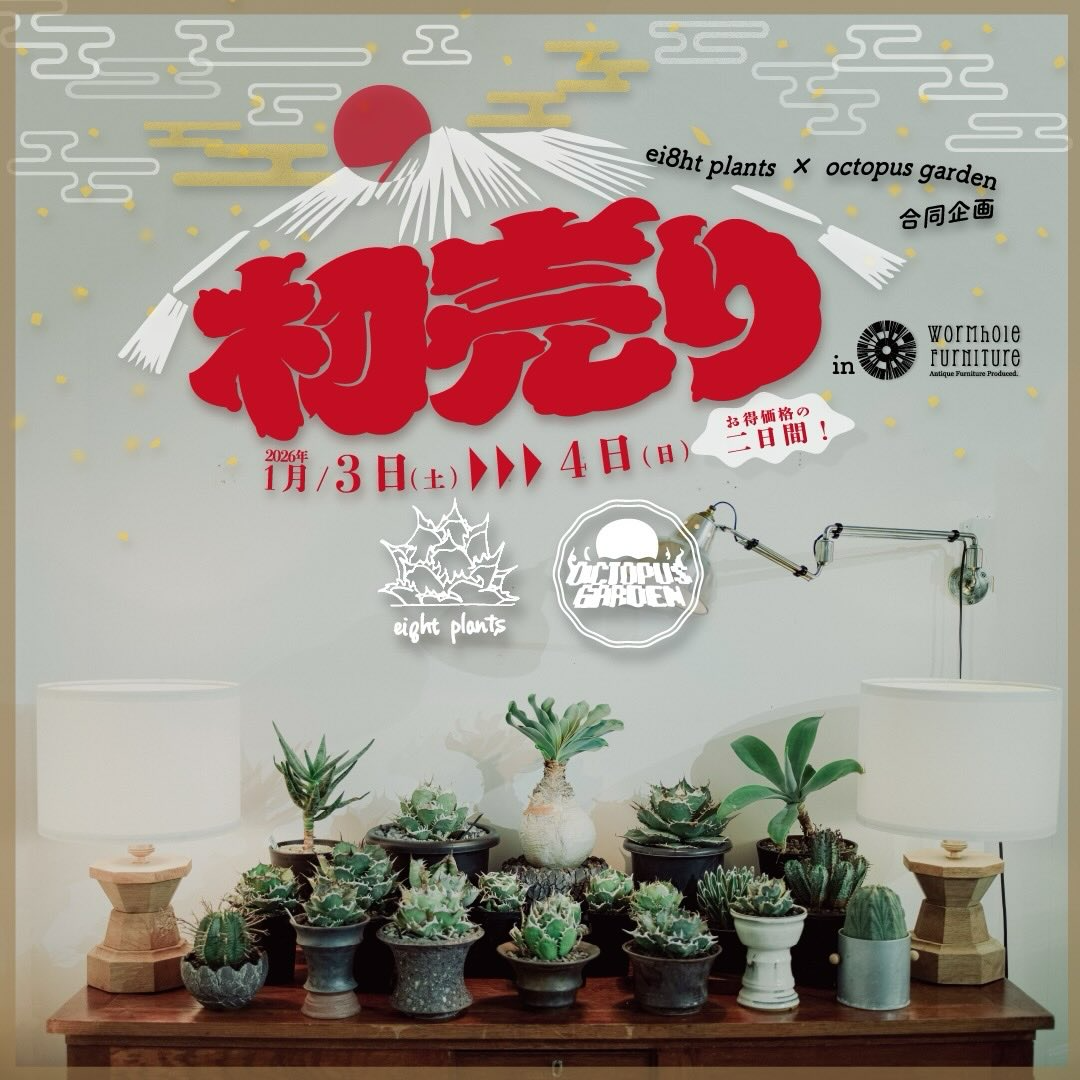 octopus gardenがei8ht plantsと初売りを開催、Wormhole Furnitureでお得価格と限定実生株企画を実施
