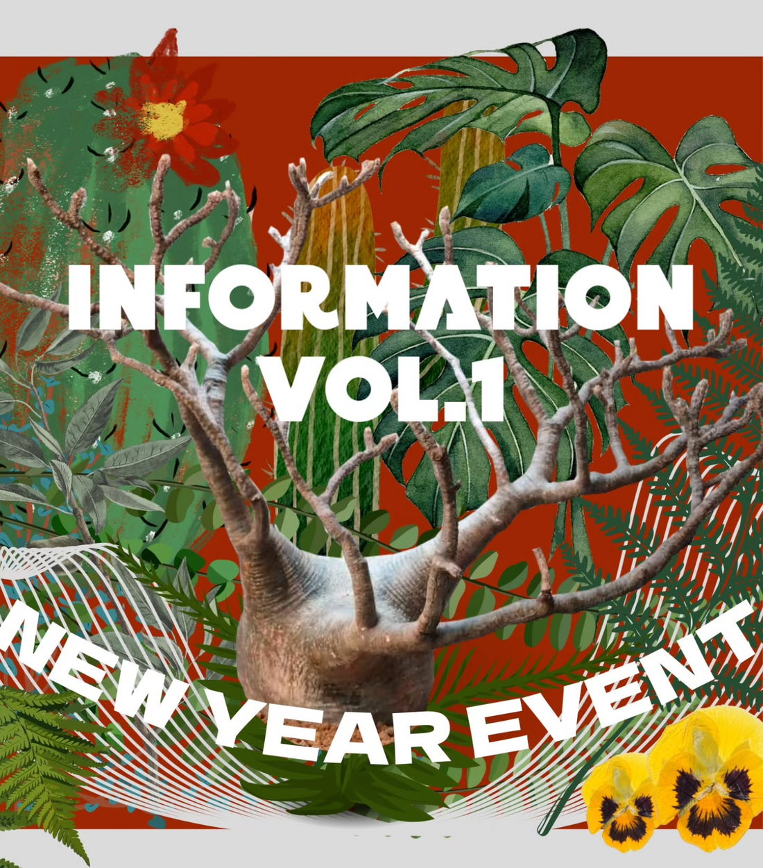 n-BASEMENTが2026新年初売りを開催、All ITEM20%offSALEが塊根植物と作家鉢の購入判断に