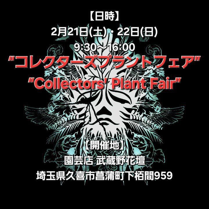 nativeforestが新春初売りBIGSALEを開催、植物10%から50%OFFと大抽選会が札幌の年始需要に対応